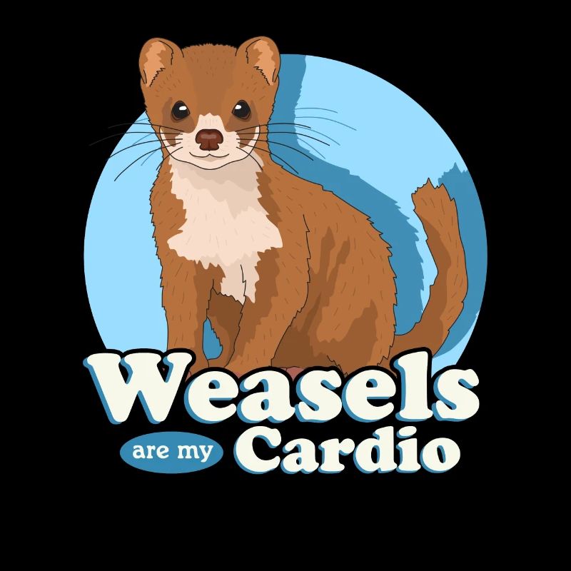 Weasel Mouse Weasel Dwarf Weasel Gift