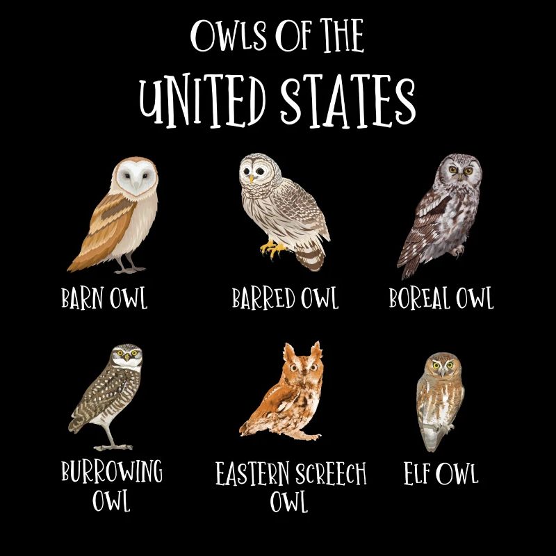 Eulenarten, Eulen & Kauze, Eule Fan