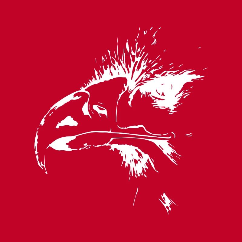 Aigle. Eagle