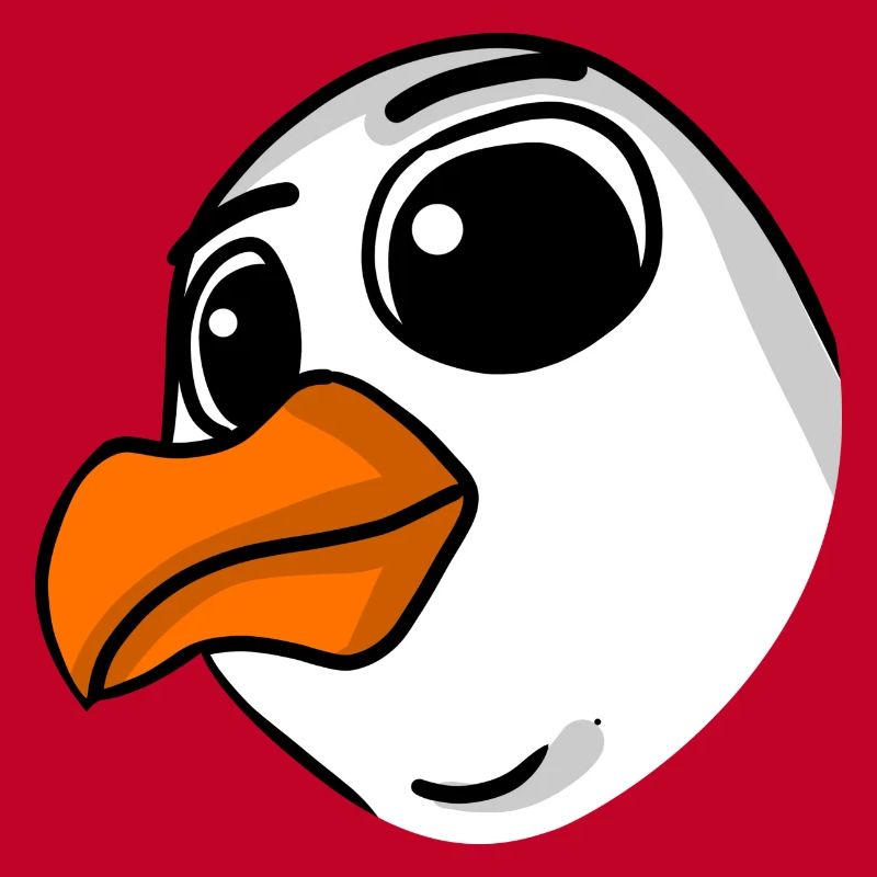 Möwe Kopf