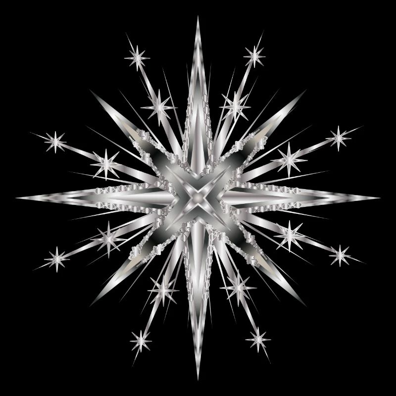 Silver glamorous timeless star