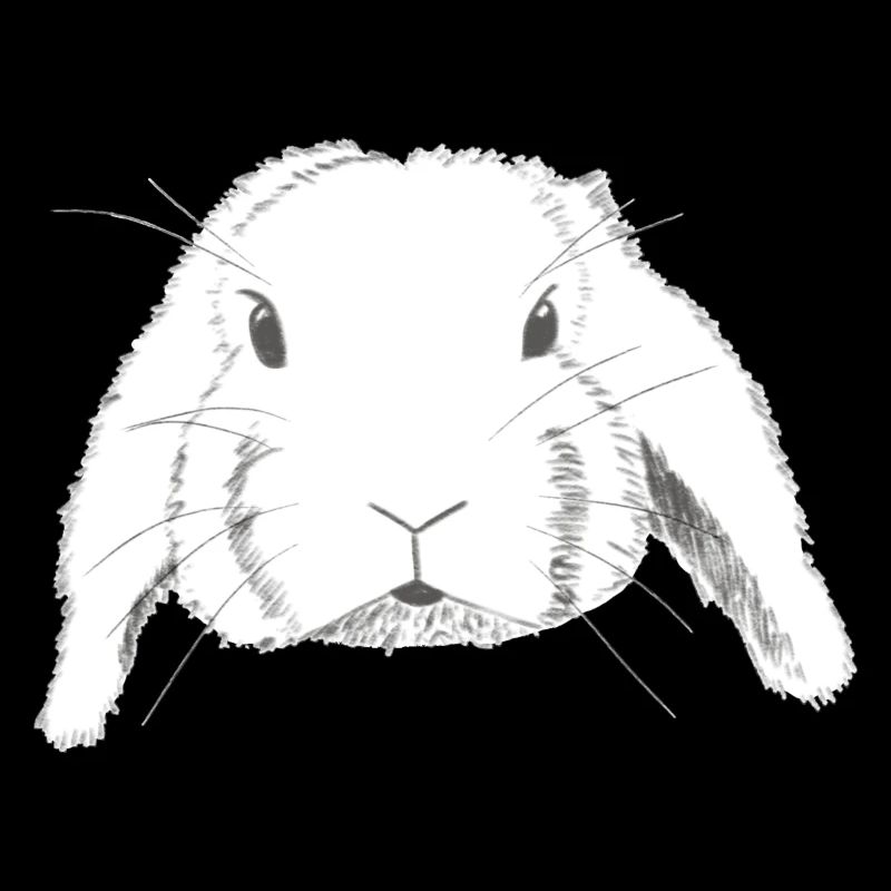 Aries Rabbit Drawing