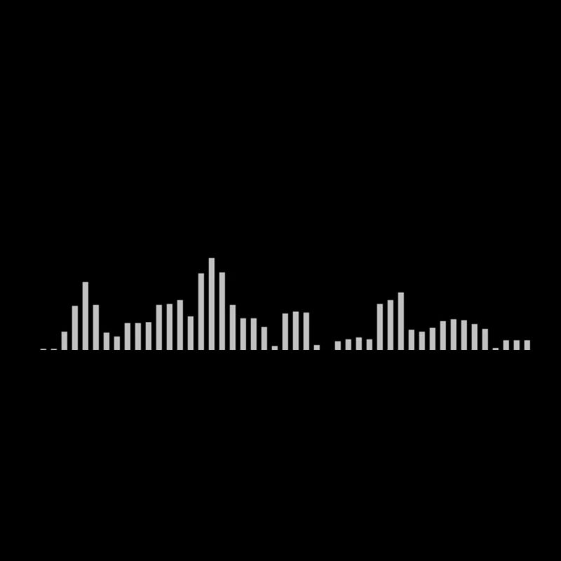 Visualizer