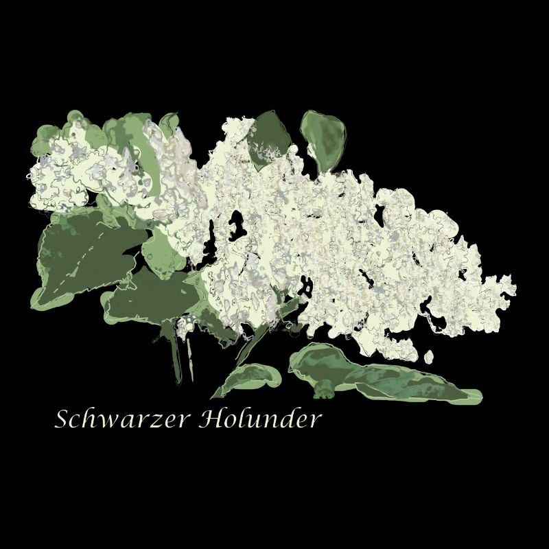Schwarzer Holunder