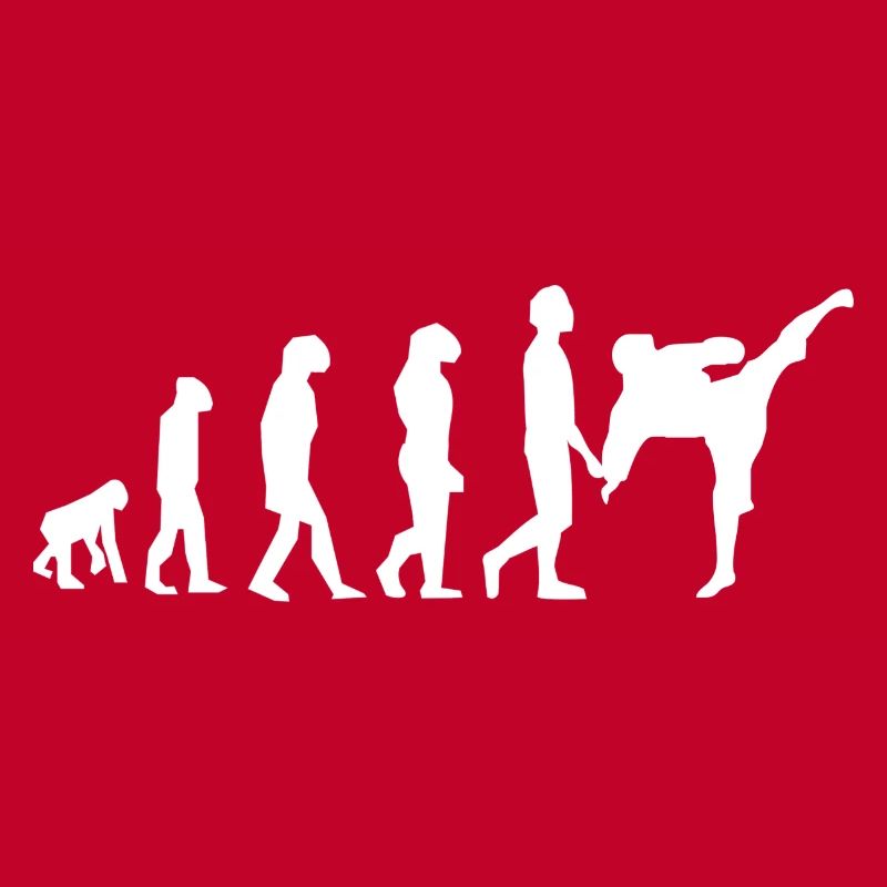 Evolution der Kampfkünste