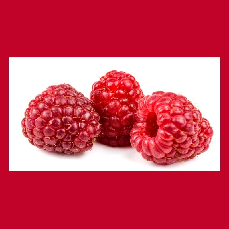 Himbeere. raspberry
