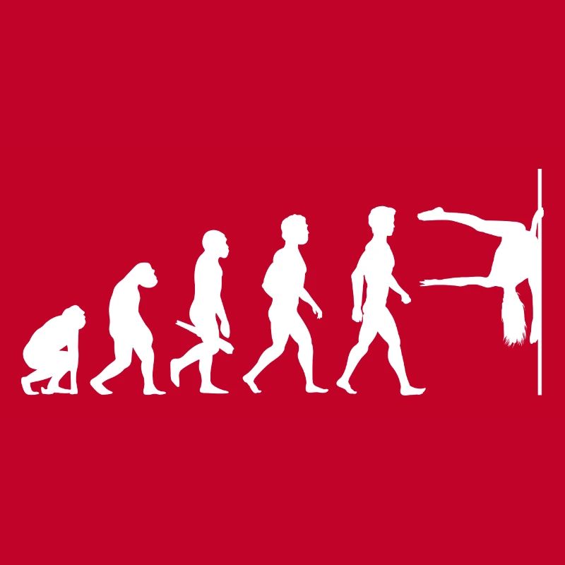 Evolution Poledance Pole Dancing Stange Tanzen