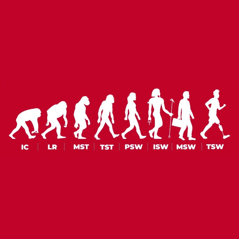 Die Evolution & der Gangzyklus (gOT it!)