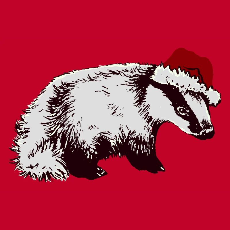 WEIHNACHTSDACHS