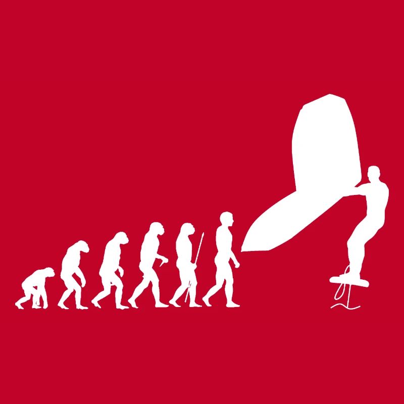 Wingsurf Evolution