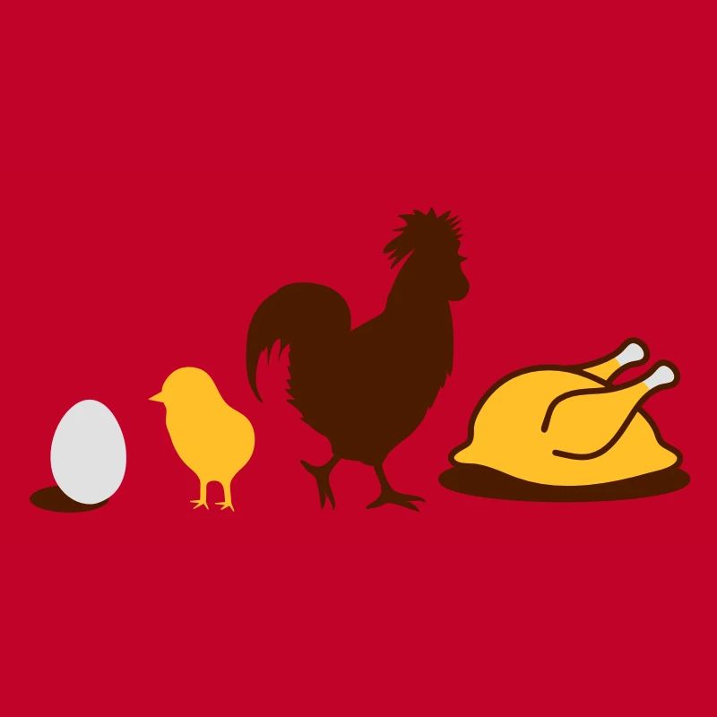 Egg,chick, rooster and chicken poultry Evolution