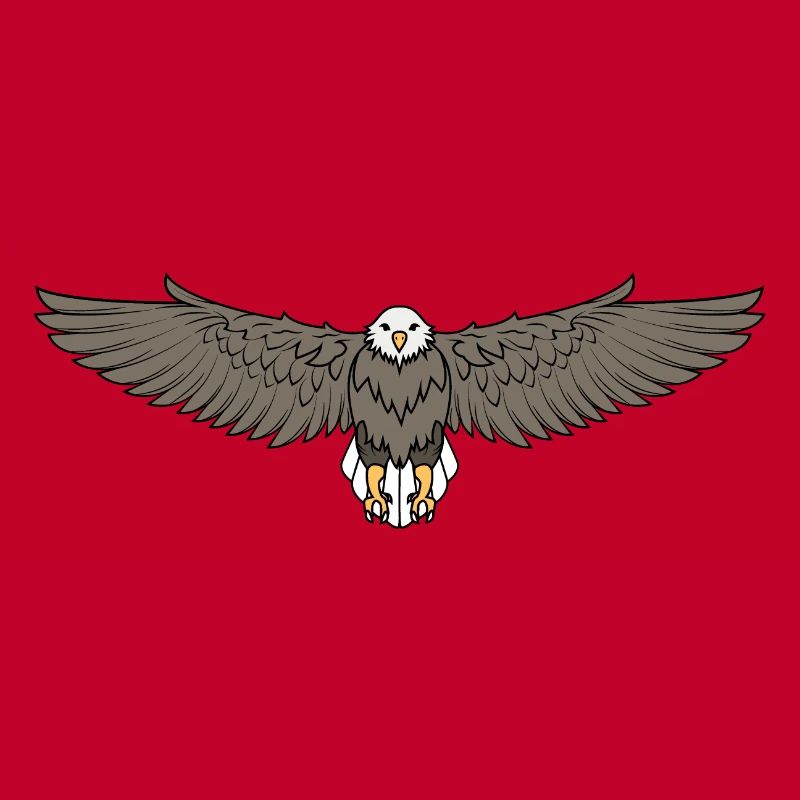 Bald Eagle Flying Cool Eagle Lovers