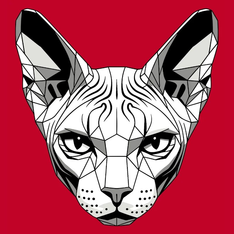 Sphynx Chat Sphynx Chat Chat Canadien Sphinx mignon