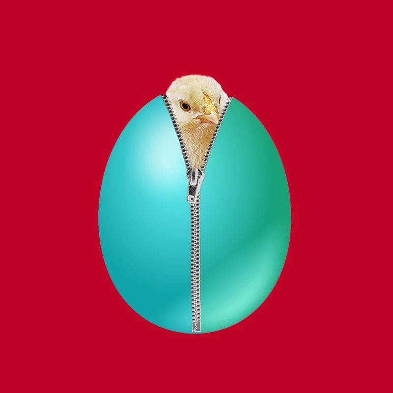 Chick zipper Easter egg gift