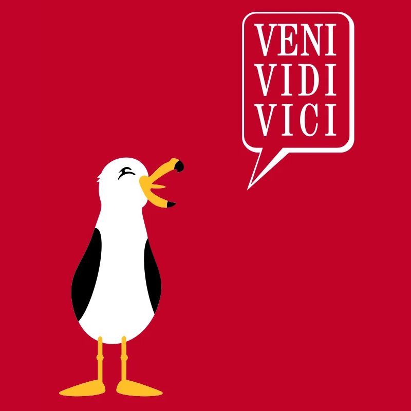 Möwe / seagull (3c)