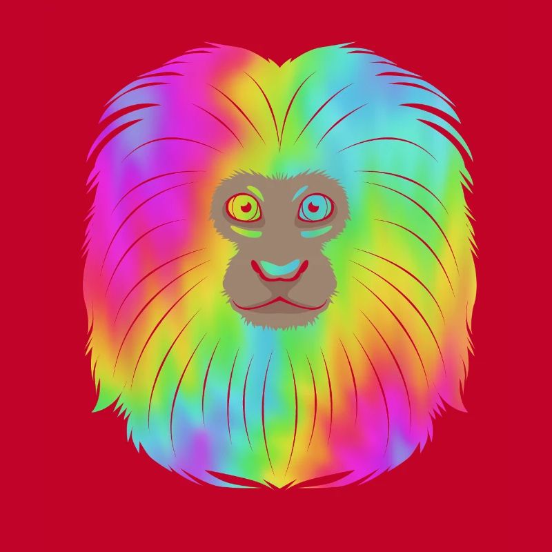 Tamarin Monkey Monkey Monkey Monkey Face