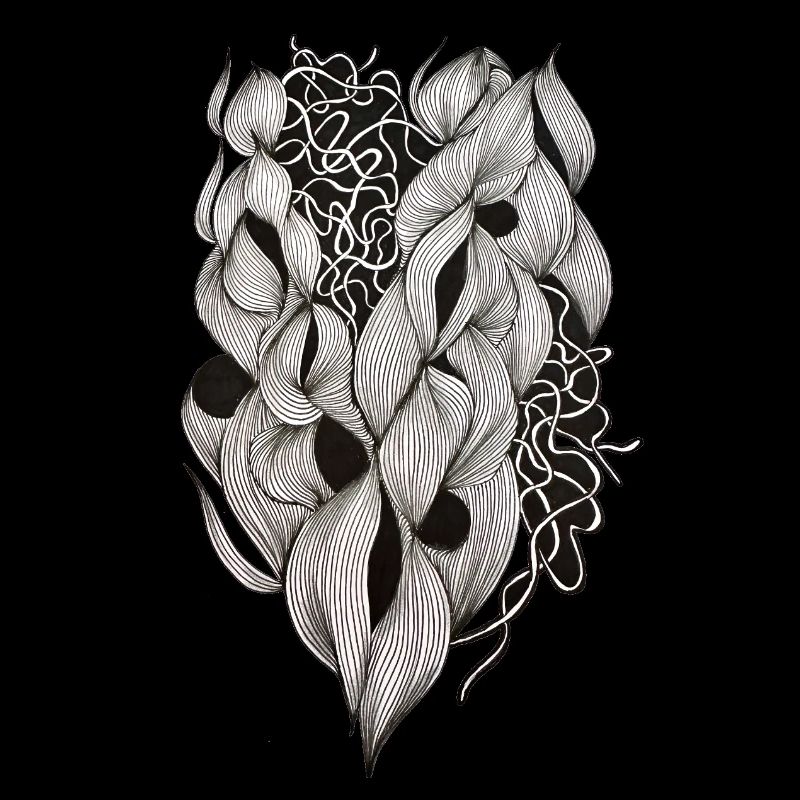 Plexus cardiaque entrelacé