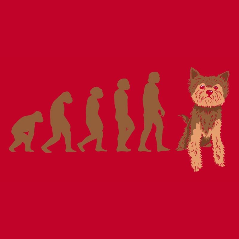 Evolution Yorkshire Terrier