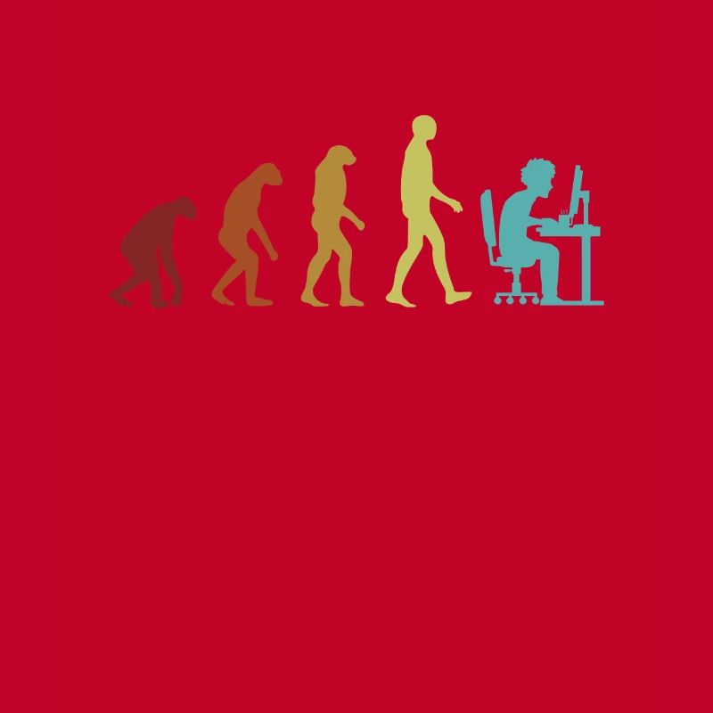 Programmeur Evolution Ingénieur logiciel Codeur