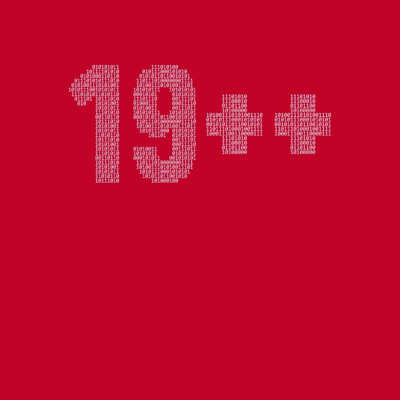 19++ Programmeur Ingénieur logiciel Codeur 20e