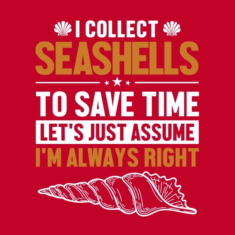Seashells Let's Assume I'm Right Shell Seashell