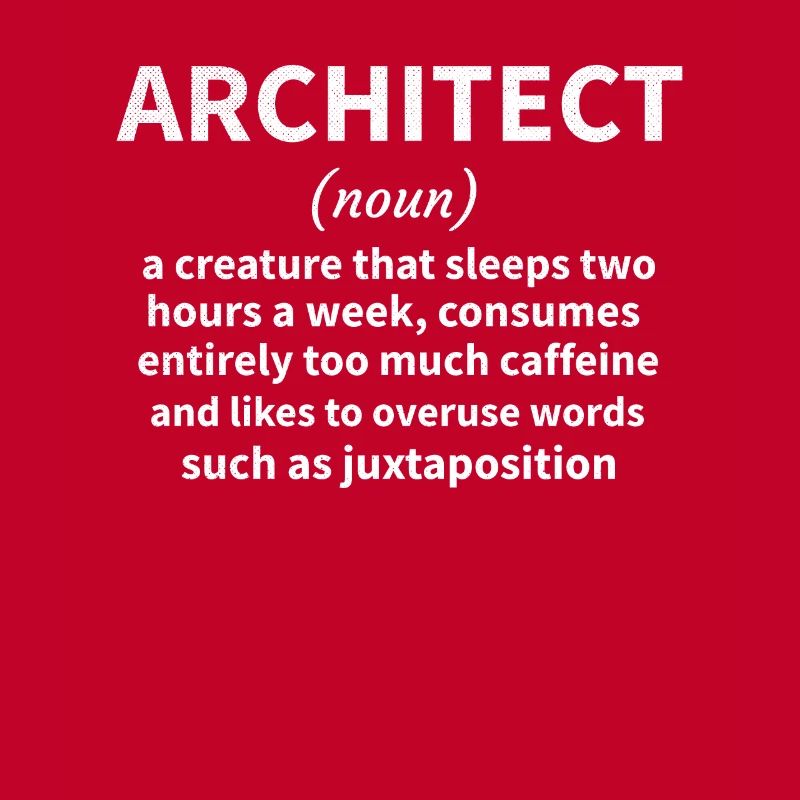 Architecture Gift Architecture Student Architect