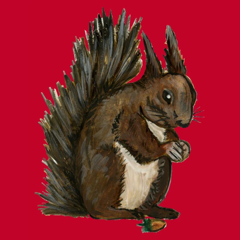 Eichhörnchen Eichhörnchen eichhörnchen esquilo Haselnuss