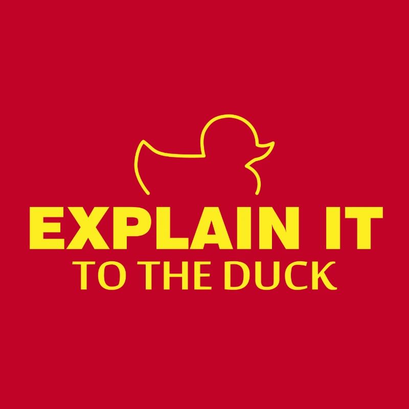 Explain it to the duck nerd programmer gift