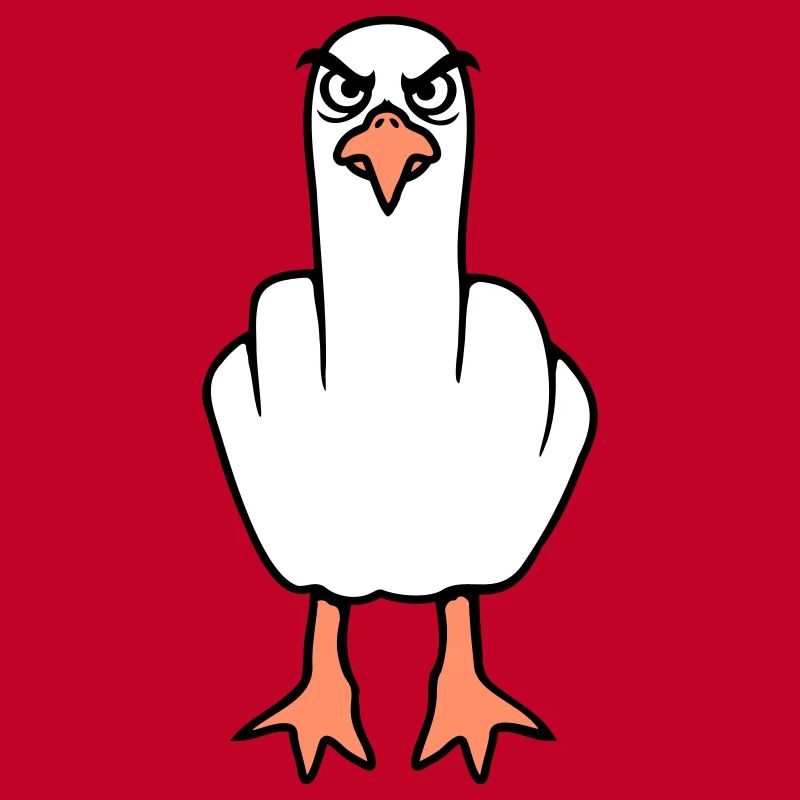 Möwe Mittelfinger Beleidigung Stinkefinger frech