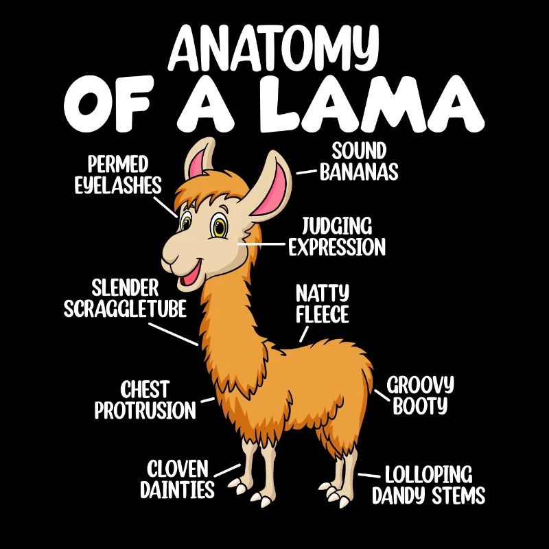 Anatomie eines Lamas