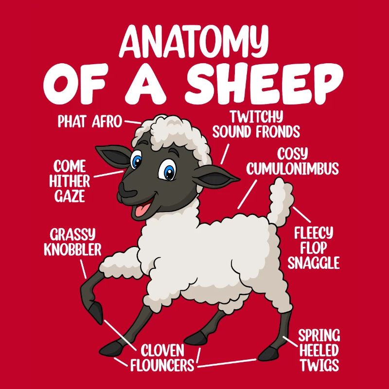 Anatomie eines Schafes