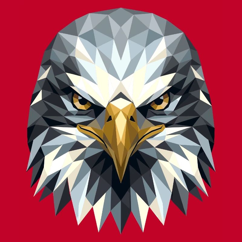 Eagle Bald Eagle Golden Eagle White-tailed Eagle