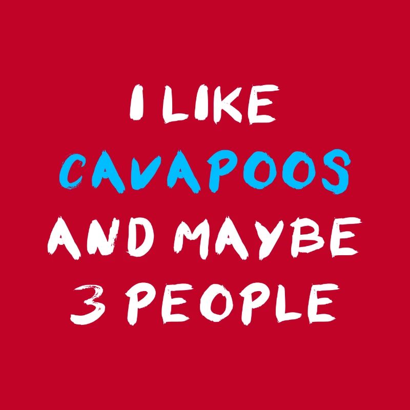 Cavapoo Cavoodle