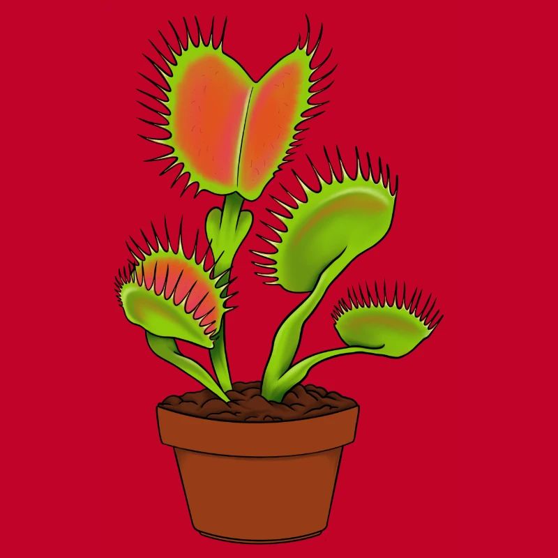 Carnivorous plantVenus flytrap