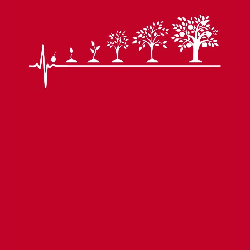 Plants evolution