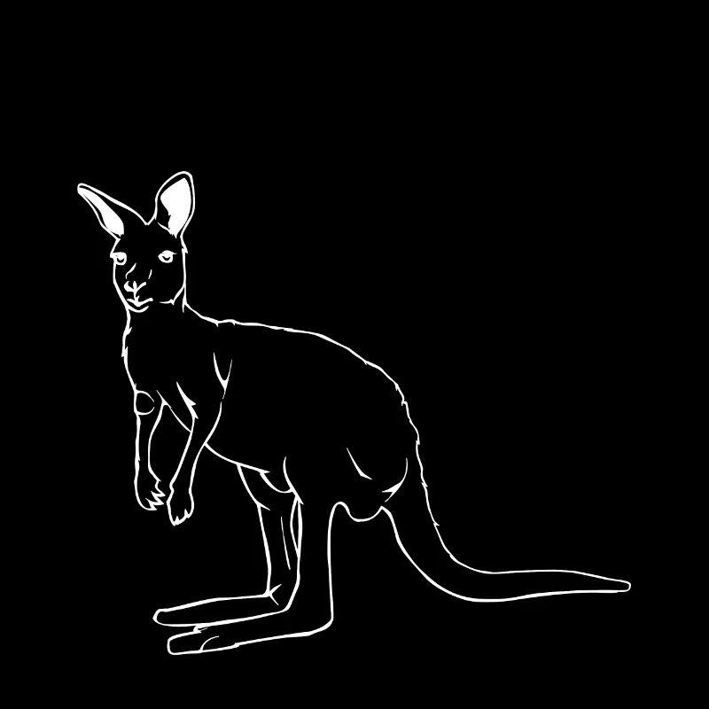 kangaroo