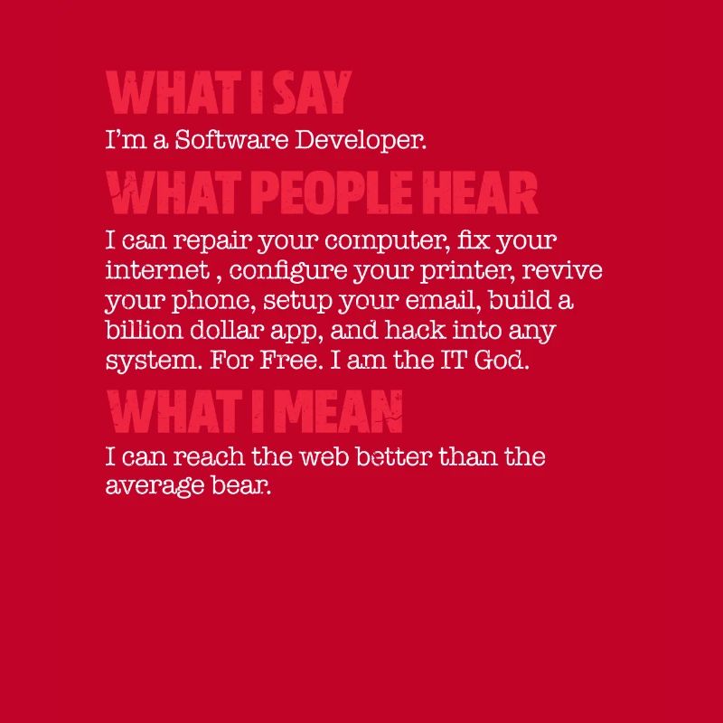 Software developer