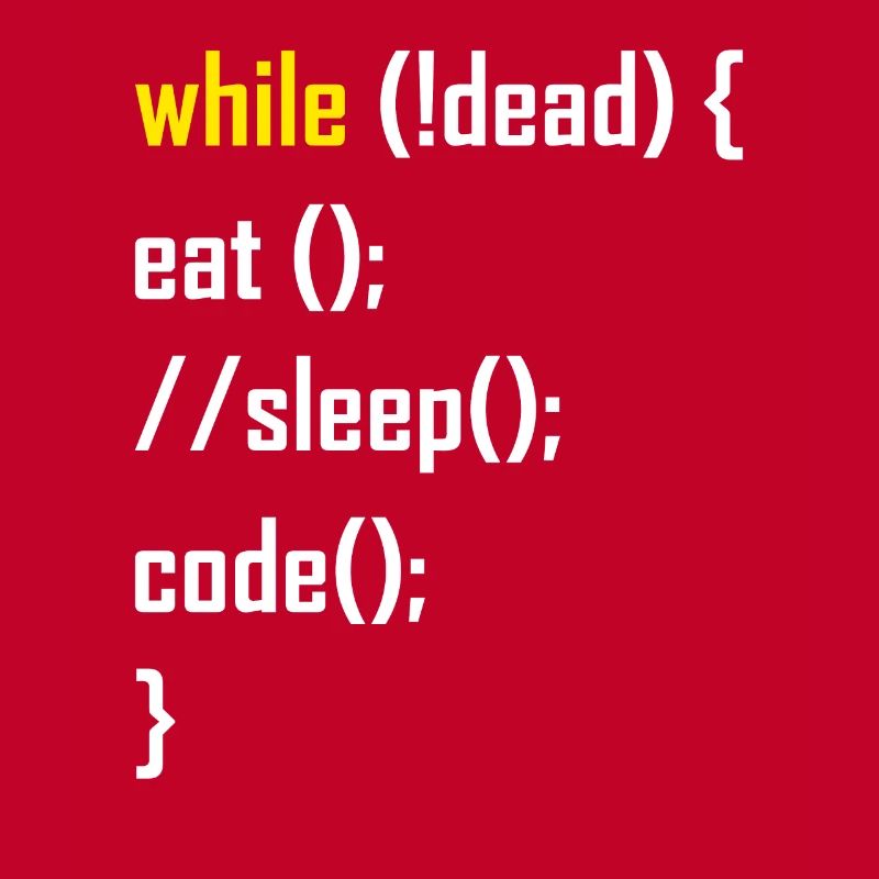 Programmierer Programmieren Geschenk