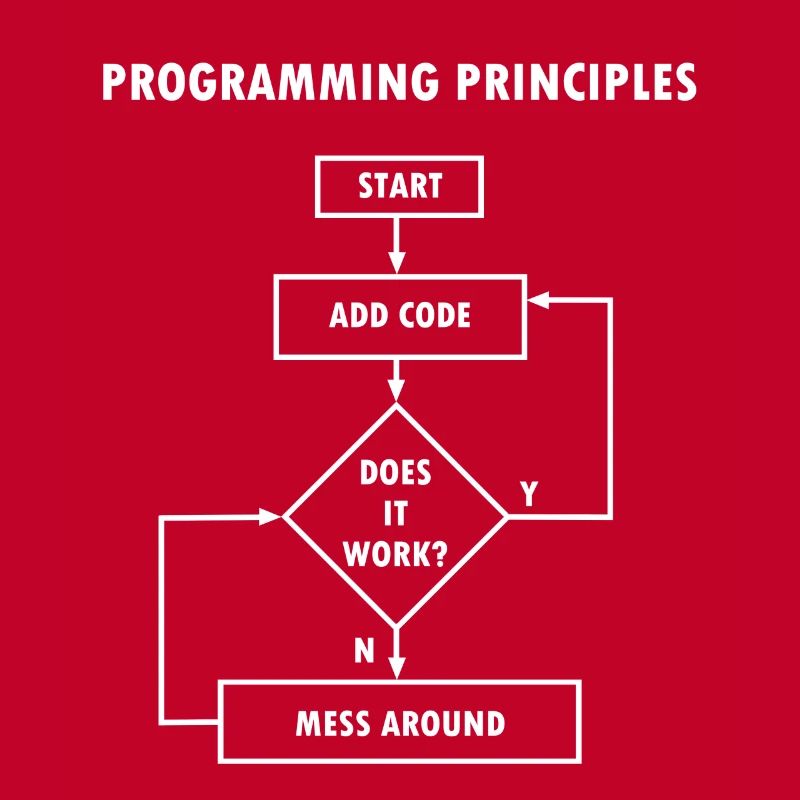 Programming principles computer science nerd