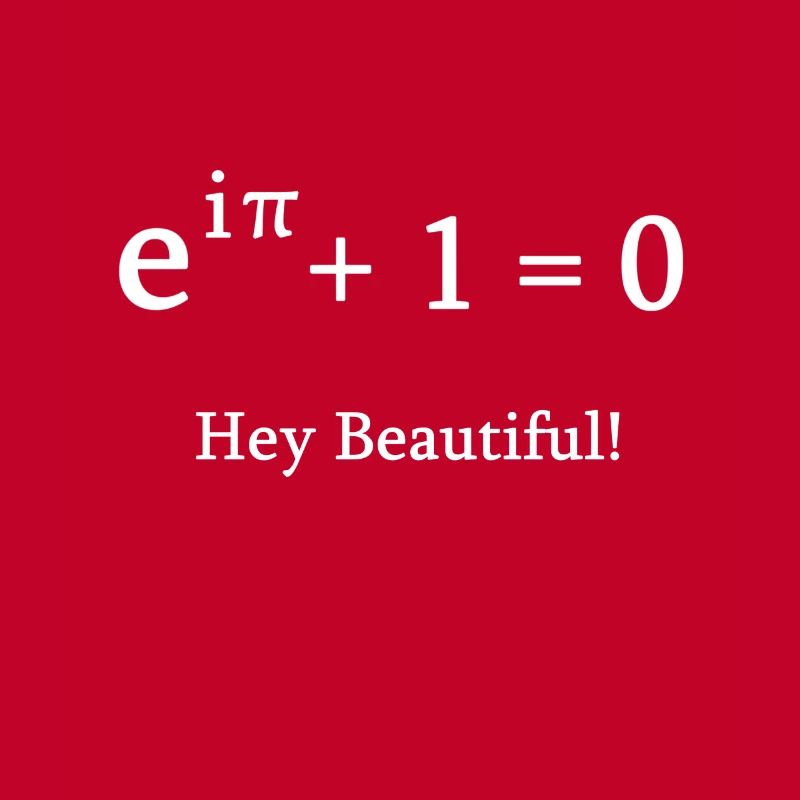 Euler identity math mathematician nerd science pi