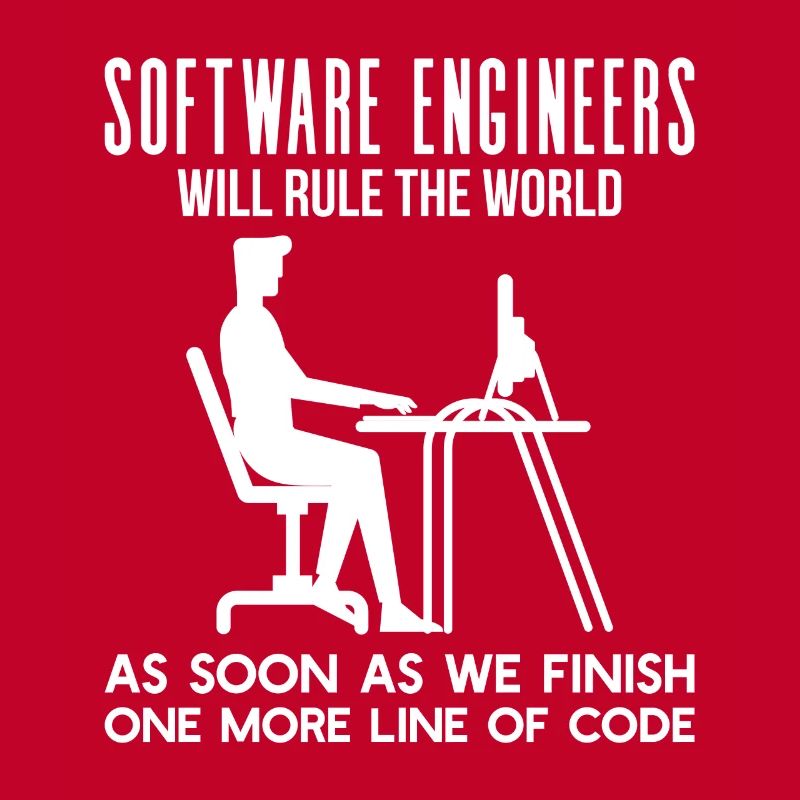 Programmer Funny gift idea