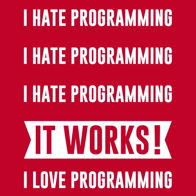 Programmer - I HATE PROGRAMMING
