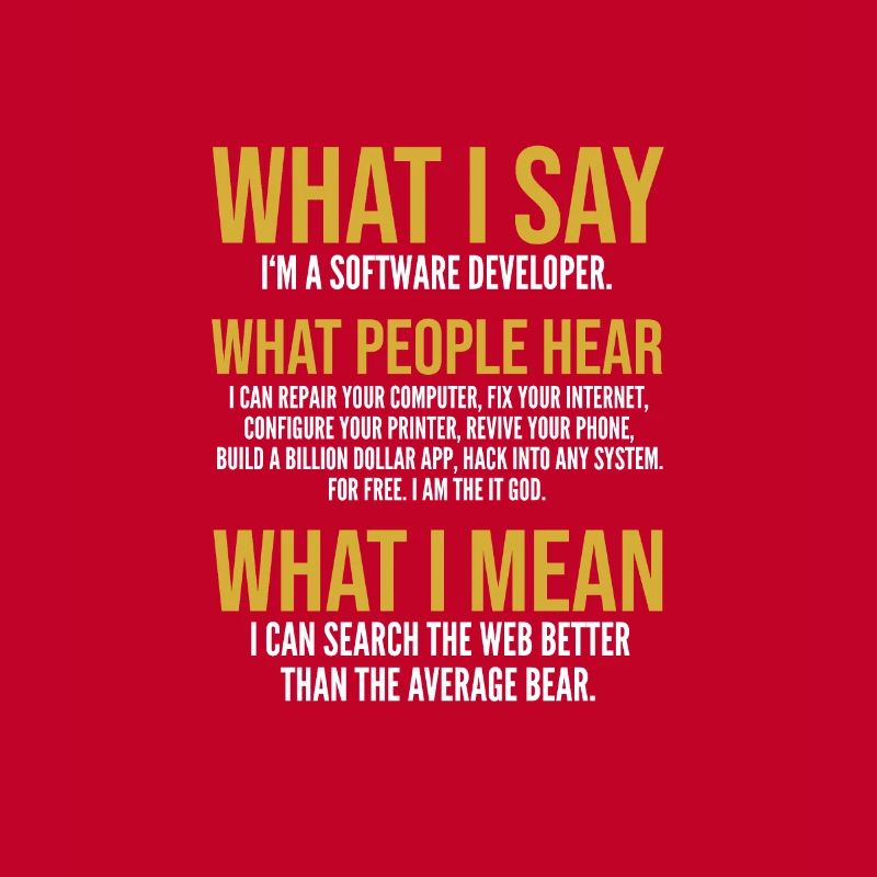 Software developer