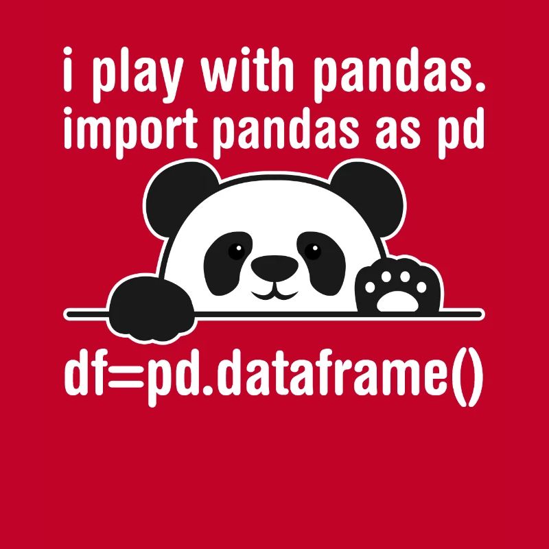 Python Programmierer IT Nerd Panda Programmierung