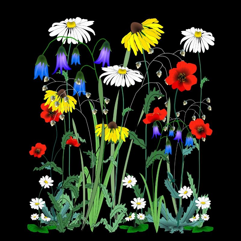 Blomma för äng för äng för blomma för vild blomma