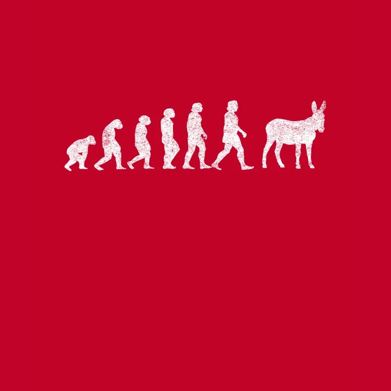 Esel Maultiere Maultier Mulis Evolution
