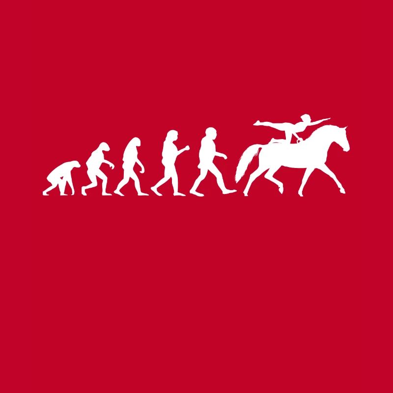 Evolution Voltigier Chevaux Équestres Voltige