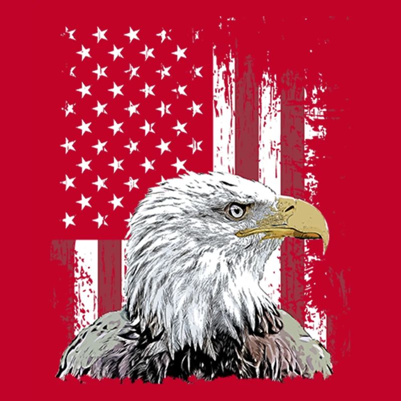 Independence Eagle American Flag Eagle
