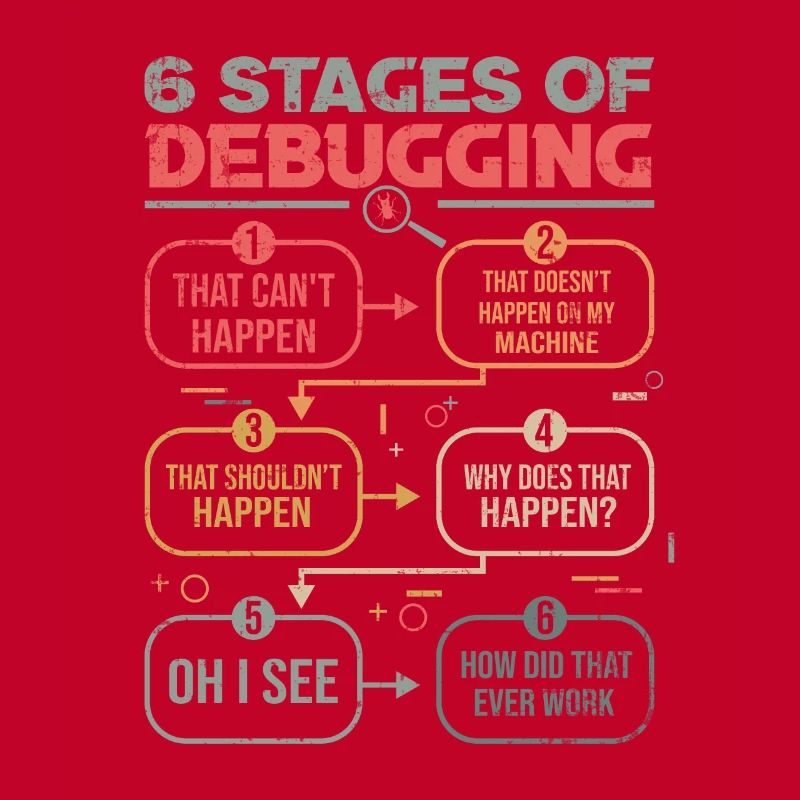 Programmer Gift Idea 6 stages of debugging