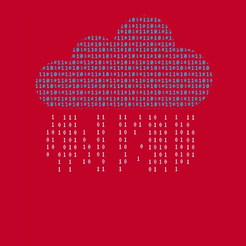 Software Engineer Binary Codes